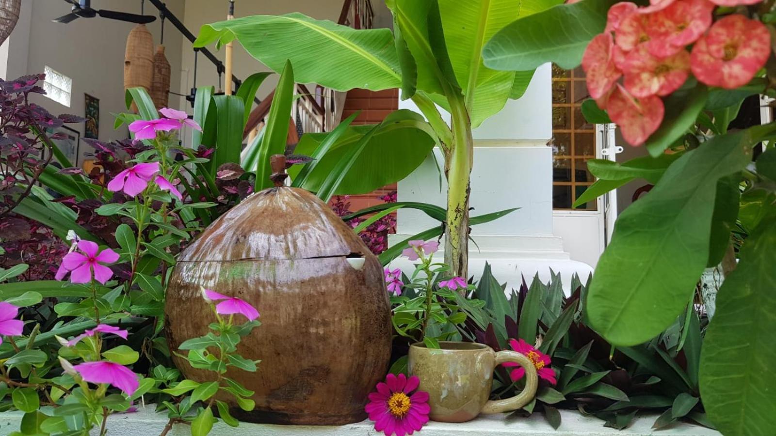 Bloom Garden Bed & Breakfast Ciudad de Siem Riep Exterior foto